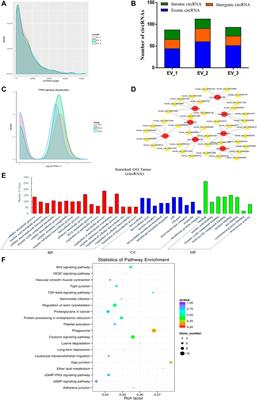 An Exploration of Non-Coding RNAs in Extracellular Vesicles Delivered by Swine Anterior Pituitary